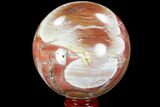 Colorful, Petrified Wood Sphere #98468-1